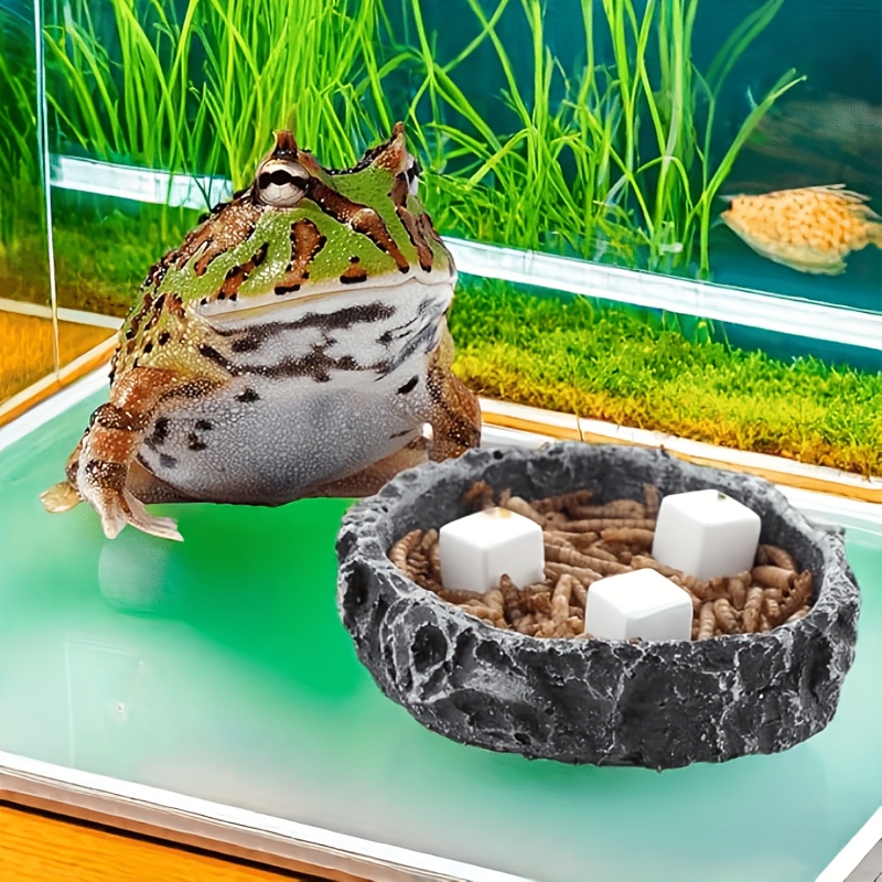6Pcs Batu Gerinda Reptil untuk - Calcium Powder Reptile ulasan dan harga