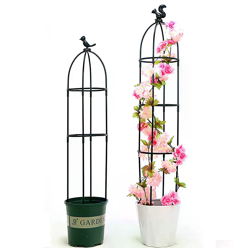 1Set Teralis Tanaman Merambat, - Vine Climbing Plastic ulasan dan harga